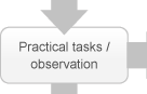 This option provides you with an opportunity to demonstrate your skills and knowledge in areas where either your documented evidence and/or your responses in the competency conversation did not meet requirements for RPL. Practical tasks / observation