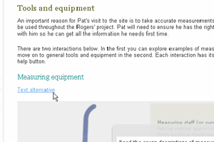 Screen grab of showing Accessibility features of this resource